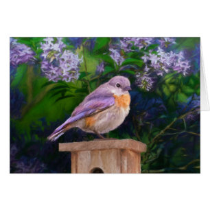 Eastern Bluebird in Snow - Original Photograph