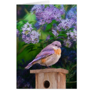 Eastern Bluebird in Snow - Original Photograph