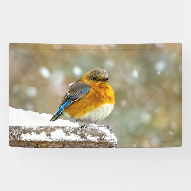 Eastern Bluebird in Snow - Original Photograph Banner (Horizontal)