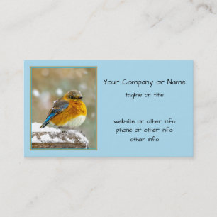Eastern Bluebird in Snow - Original Photograph Business Card