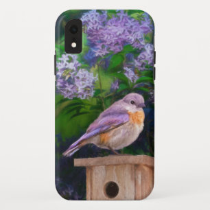 Eastern Bluebird in Snow - Original Photograph Case-Mate iPhone Case