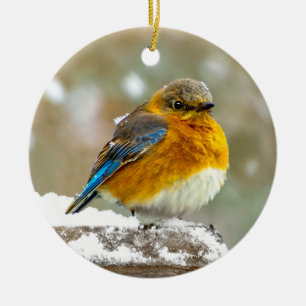 Eastern Bluebird in Snow - Original Photograph Ceramic Tree Decoration