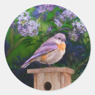 Eastern Bluebird in Snow - Original Photograph Classic Round Sticker