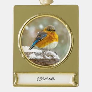 Eastern Bluebird in Snow - Original Photograph Gold Plated Banner Ornament