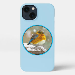 Eastern Bluebird in Snow - Original Photograph iPhone 13 Case