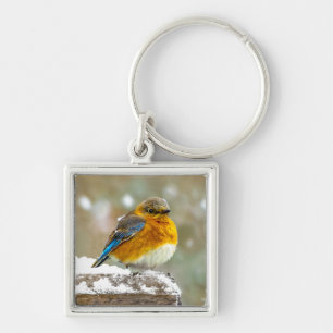 Eastern Bluebird in Snow - Original Photograph Key Ring