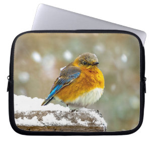 Eastern Bluebird in Snow - Original Photograph Laptop Sleeve