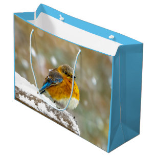 Eastern Bluebird in Snow - Original Photograph Large Gift Bag