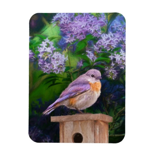 Eastern Bluebird in Snow - Original Photograph Magnet (Vertical)