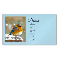 Eastern Bluebird in Snow - Original Photograph