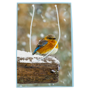 Eastern Bluebird in Snow - Original Photograph Medium Gift Bag