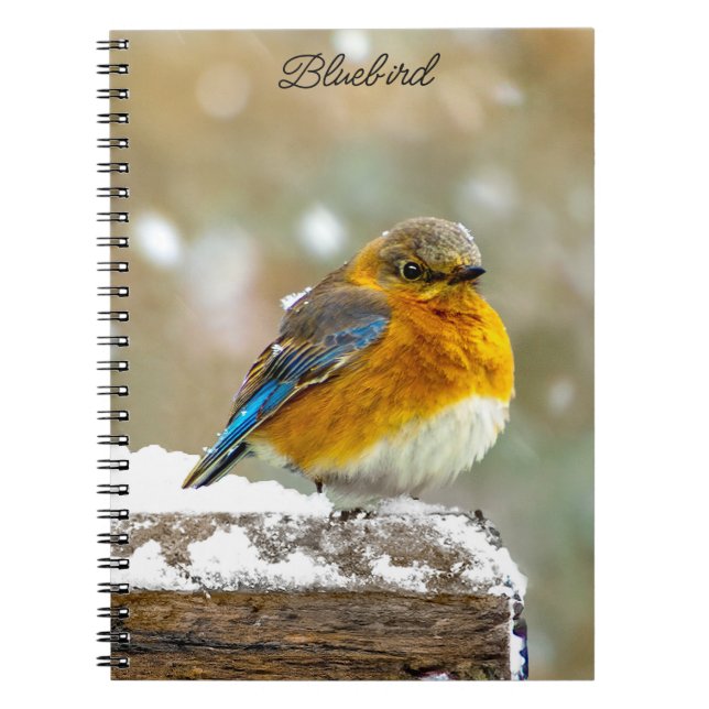 Eastern Bluebird in Snow - Original Photograph Notebook (Front)
