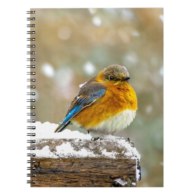 Eastern Bluebird in Snow - Original Photograph Notebook (Front)