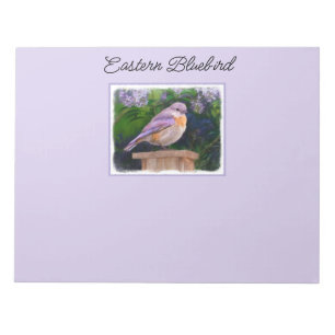 Eastern Bluebird in Snow - Original Photograph Notepad