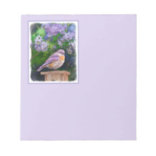 Eastern Bluebird in Snow - Original Photograph Notepad