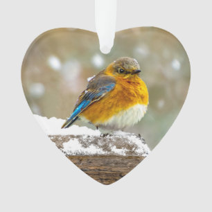 Eastern Bluebird in Snow - Original Photograph Ornament