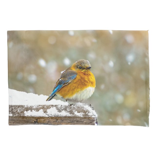 Eastern Bluebird in Snow - Original Photograph Pillowcase (Front)