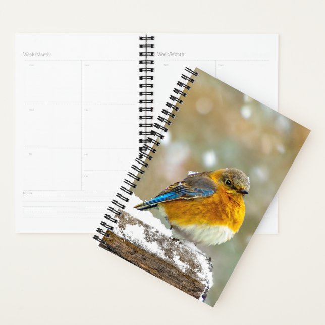 Eastern Bluebird in Snow - Original Photograph Planner (Display)