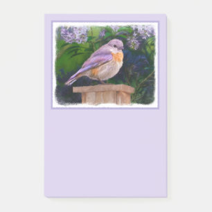 Eastern Bluebird in Snow - Original Photograph Post-it Notes