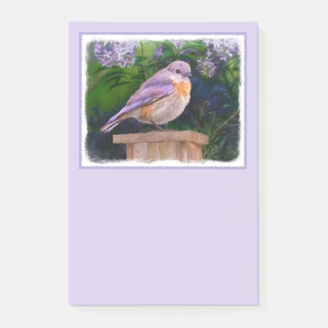 Eastern Bluebird in Snow - Original Photograph Post-it Notes (Front)