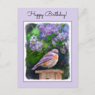 Eastern Bluebird in Snow - Original Photograph Postcard