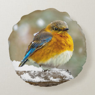 Eastern Bluebird in Snow - Original Photograph Round Cushion