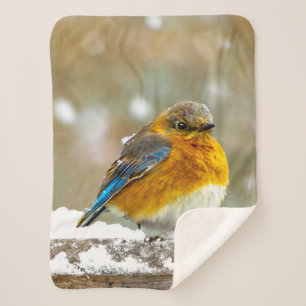 Eastern Bluebird in Snow - Original Photograph Sherpa Blanket