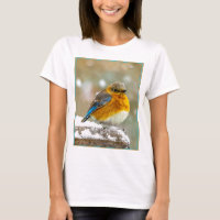 Eastern Bluebird in Snow - Original Photograph