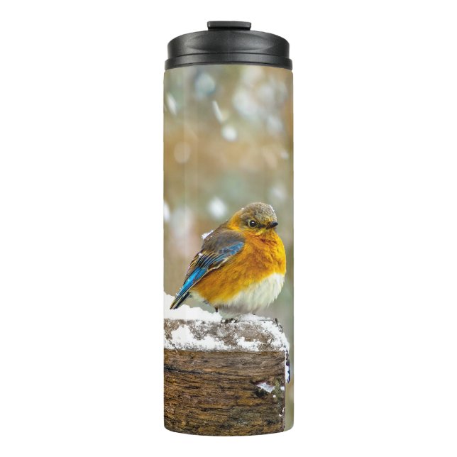 Eastern Bluebird in Snow - Original Photograph Thermal Tumbler (Front)