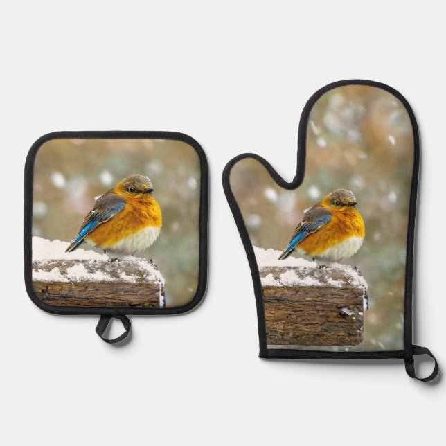 Eastern Bluebird in Snowstorm Original Photograph Oven Mitt & Pot Holder Set (Front)
