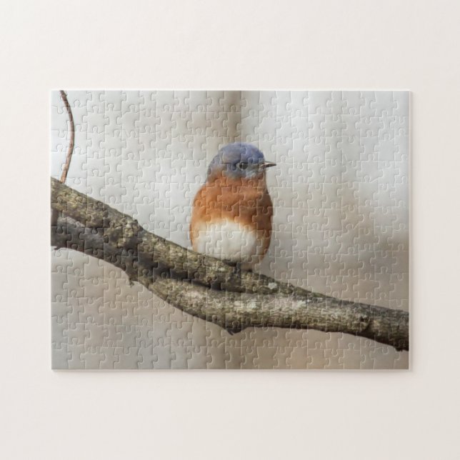 Eastern Bluebird Jigsaw Puzzle (Horizontal)