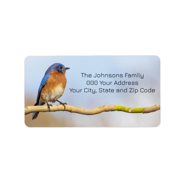 Eastern Bluebird Label (Front)