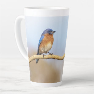 Eastern Bluebird Latte Mug
