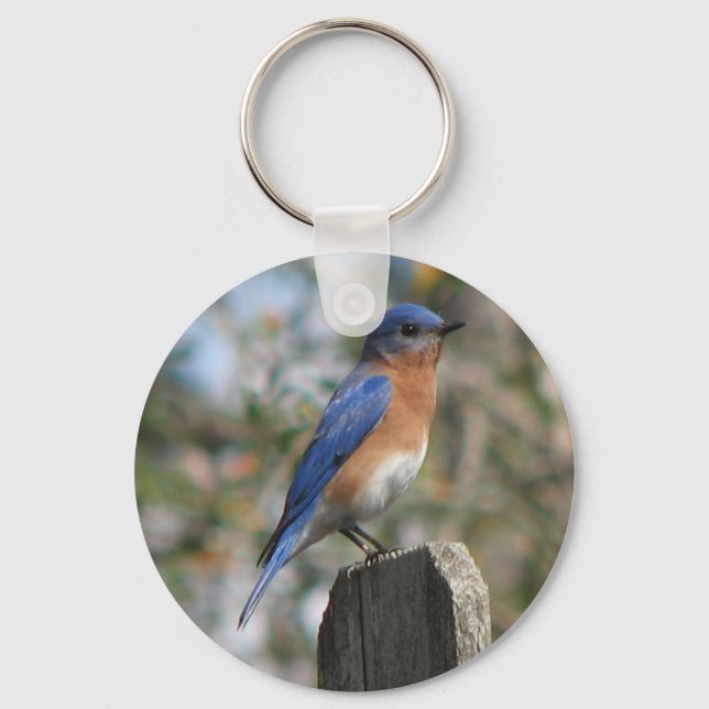 Eastern Bluebird Male Keychain (Front)