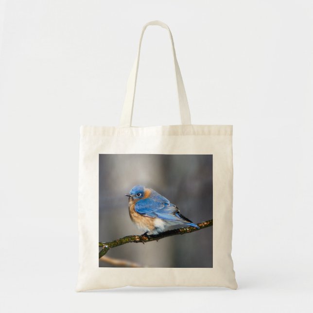 Eastern Bluebird on Limb Budget Tote Bag (Front)