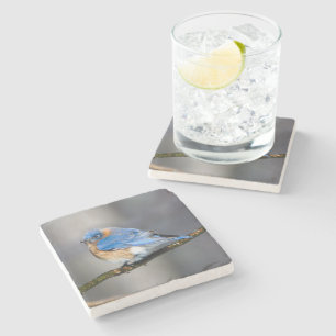 Eastern Bluebird Stone Coaster