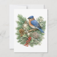 Eastern Bluebird Winter Songbirds Collection