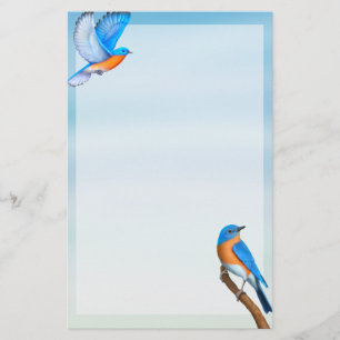 Eastern Bluebirds Bird Art Stationery