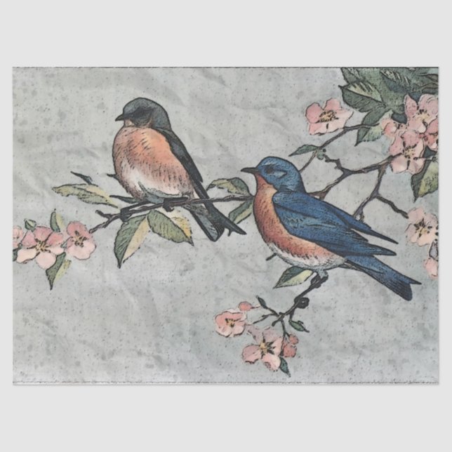 Eastern Bluebirds Decoupage Tissue Paper (Front)