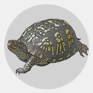 Eastern Box Turtle Coordinating Items Classic Round Sticker