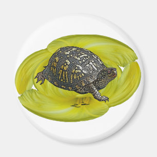 Eastern Box Turtle Coordinating Items Magnet