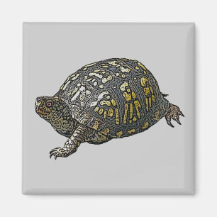 Eastern Box Turtle Coordinating Items Magnet