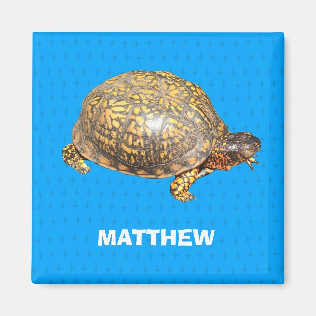 Eastern Box Turtle Photo Personalised Magnet (Front)