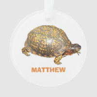 Eastern Box Turtle Photo Personalised