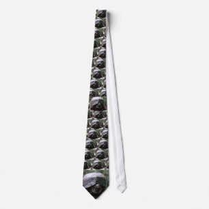 eastern box turtle tie