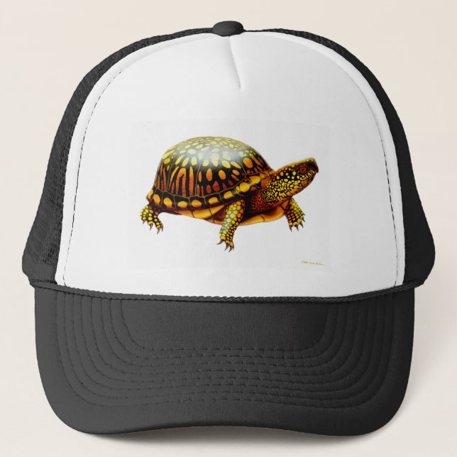 Eastern Box Turtle Trucker Hat (Front)