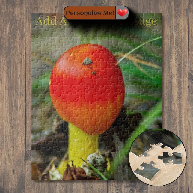Eastern Caesar's Amanita Jigsaw Puzzle (Eastern Caesar's Amanita Jigsaw Puzzle)