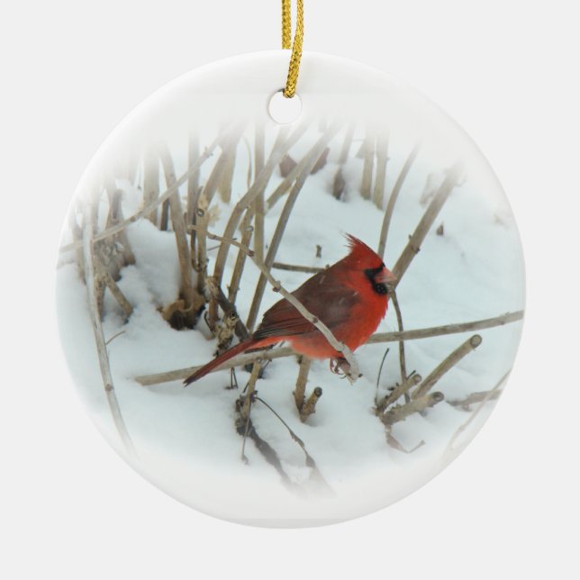 Eastern Cardinal Songbird Christmas Ornament (Front)