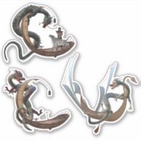 Eastern Chinese Dragon Serpent Flying Boats