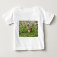 Eastern Chipmunk
